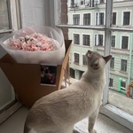 Мона Моника: букет из французских роз с хлопком - Фотография 4