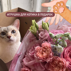 Царство Моти: букет из пионовидных роз, небесно-голубого дельфиниума и других цветов Царство Моти: букет из пионовидных роз, небесно-голубого дельфиниума и других цветов
