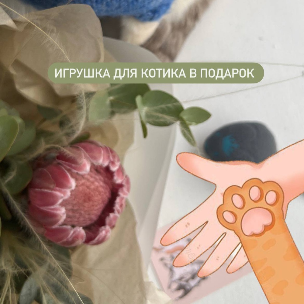 Лапки и усики: букет-комплимет с экзотической протеей