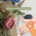 Лапки и усики: букет-комплимет с экзотической протеей - Фотография 1