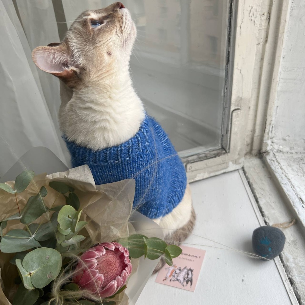 Лапки и усики: экзотическая протея с сухоцветами