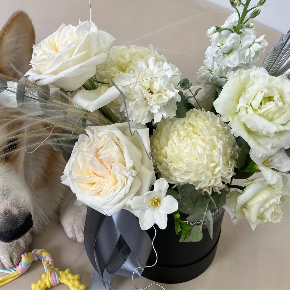 Круэлла оценит: стильная цветочная композиция в коробке+ игрушка для собаки в подарок!