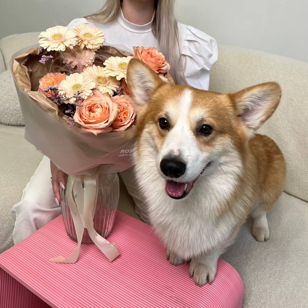 Подушечки лап: роза Кахала, кремовая гербера и стойкий лизиантус+ ИГРУШКА ДЛЯ СОБАКИ В ПОДАРОК!