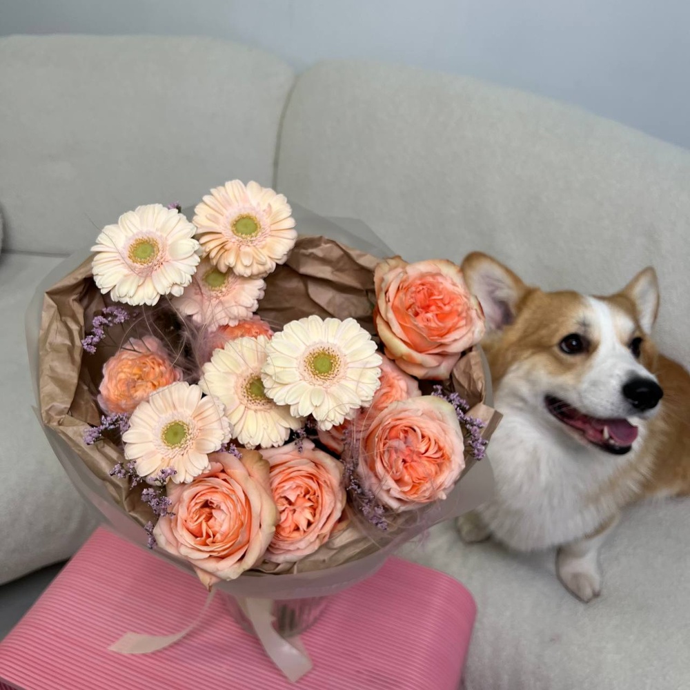 Подушечки лап: роза Кахала, кремовая гербера и стойкий лизиантус+ ИГРУШКА ДЛЯ СОБАКИ В ПОДАРОК!