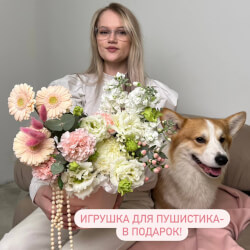 Букет «Влажный носик: воздушная композиция в щляпной коробке+ ИГРУШКА ДЛЯ СОБАКИ В ПОДАРОК!» Букет «Влажный носик: воздушная композиция в щляпной коробке+ ИГРУШКА ДЛЯ СОБАКИ В ПОДАРОК!»