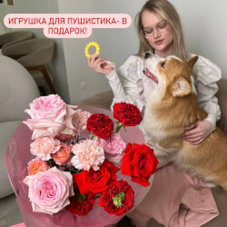 Букет «Комочек счастья: Пионовидные розы Рэд ай и Пинк Охара, французская роза нина+ ИГРУШКА ДЛЯ СОБАКИ В ПОДАРОК!» Букет «Комочек счастья: Пионовидные розы Рэд ай и Пинк Охара, французская роза нина+ ИГРУШКА ДЛЯ СОБАКИ В ПОДАРОК!»