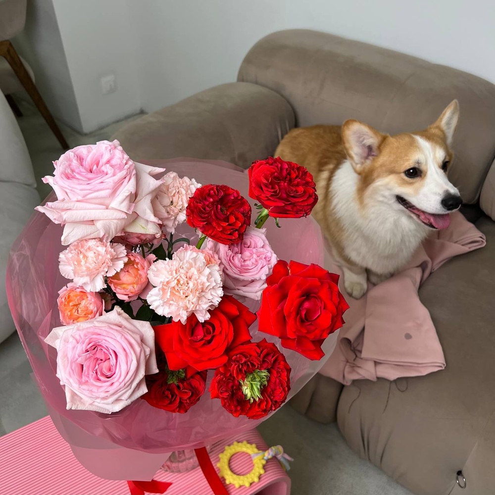 Комочек счастья: Пионовидные розы Рэд ай и Пинк Охара, французская роза нина+ ИГРУШКА ДЛЯ СОБАКИ В ПОДАРОК!