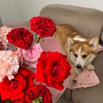 Свежие цветы и букеты с круглосуточной доставкой по Санкт-Петербургу - Фотография 3