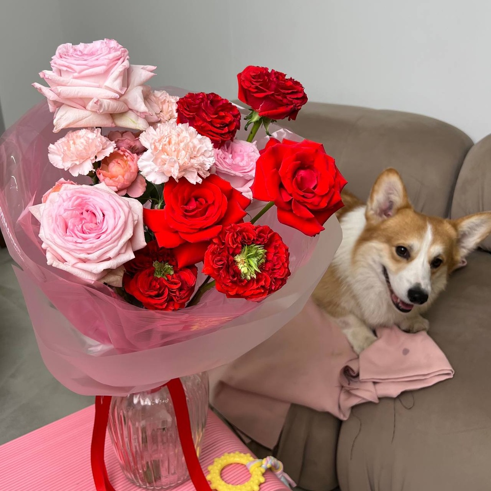 Комочек счастья: Пионовидные розы Рэд ай и Пинк Охара, французская роза нина+ ИГРУШКА ДЛЯ СОБАКИ В ПОДАРОК!