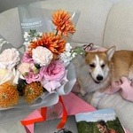 Свежие цветы с доставкой круглосуточно в Санкт-Петербурге - Фотография 7