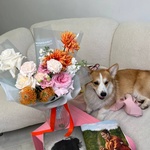 Свежие цветы с доставкой круглосуточно в Санкт-Петербурге - Фотография 2