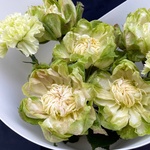 Грэнни Смит: пионовидные розы и диантусы в Санкт-Петербруге - Фотография 6