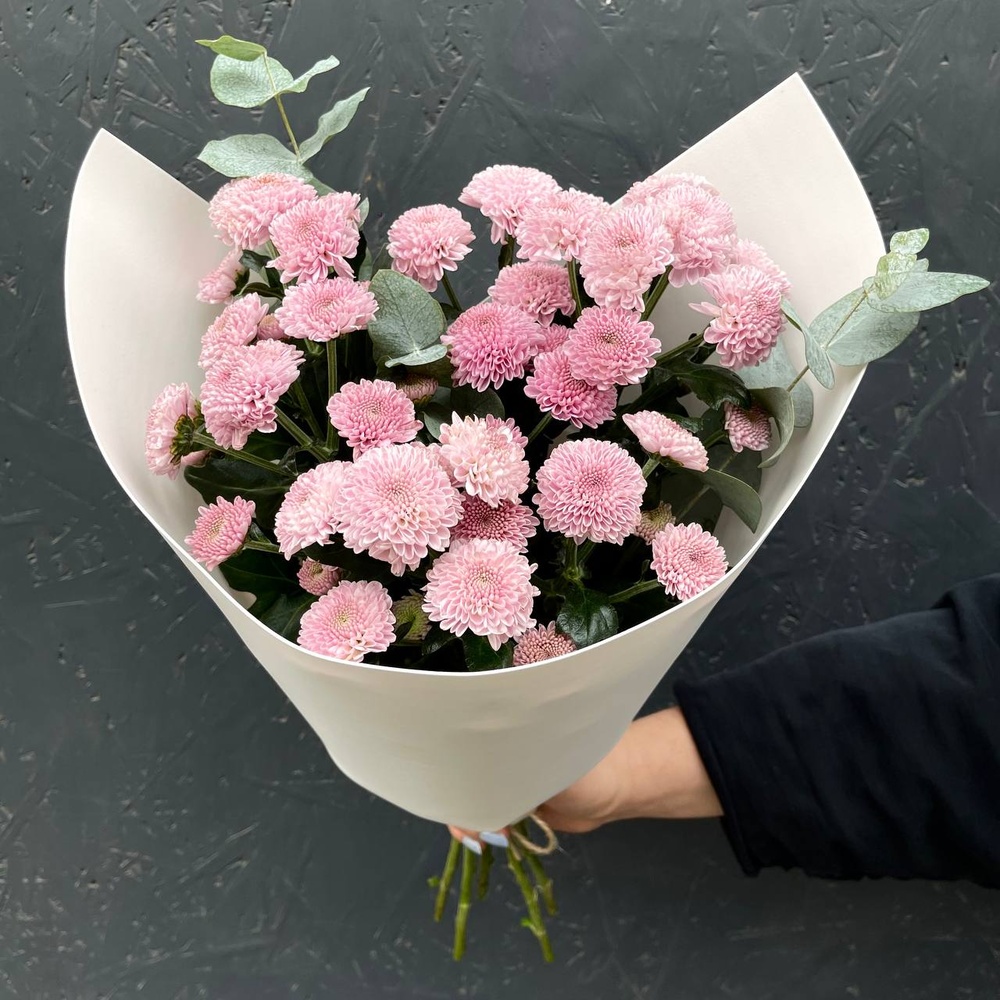 Блуберри: цветочный кулек с кустовыми сантини + аквабокс и коробка-переноска