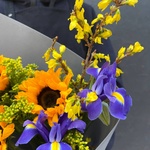 Ириска: подсолнухи и ирисы в Санкт-Петербурге - Фотография 5