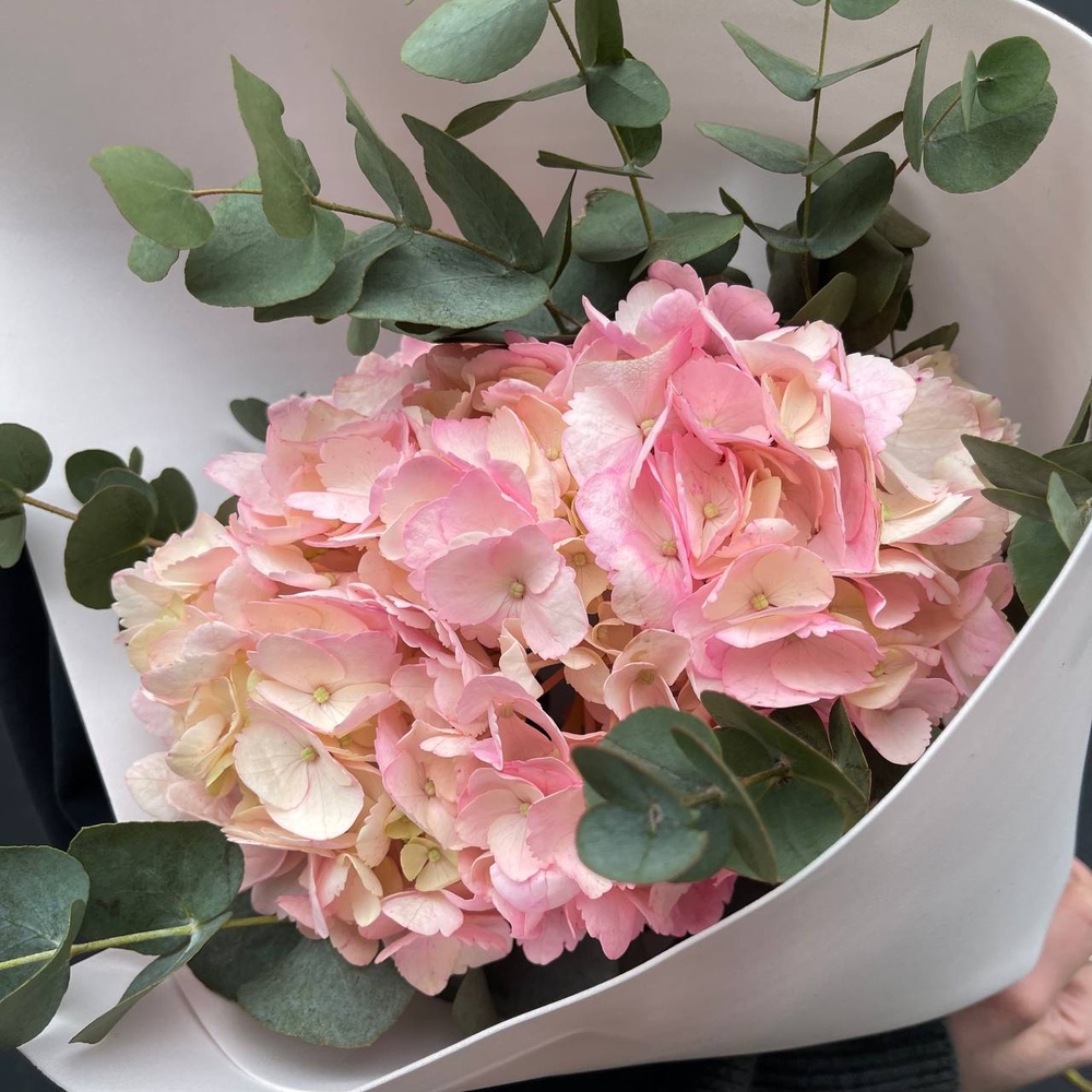 В самое сердце: розовая гортензия и эвкалипт в Санкт-Петербурге