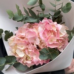 В самое сердце: розовая гортензия и эвкалипт в Санкт-Петербурге - Фотография 1