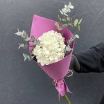 В самое сердце: белая гортензия и эвкалипт в Санкт-Петербурге - Фотография 3