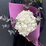 В самое сердце: белая гортензия и эвкалипт в Санкт-Петербурге - Фотография 1