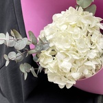 В самое сердце: белая гортензия и эвкалипт в Санкт-Петербурге - Фотография 5