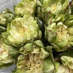 Доставка по Спб - Фотография 5