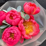 Коралловые пионы. Доставка по СПБ - Фотография 4 Коралловые пионы. Доставка по СПБ - Фотография 4