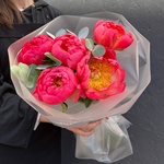 Коралловые пионы. Доставка по СПБ - Фотография 2 Коралловые пионы. Доставка по СПБ - Фотография 2