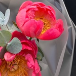 Коралловые пионы. Доставка по СПБ - Фотография 8 Коралловые пионы. Доставка по СПБ - Фотография 8