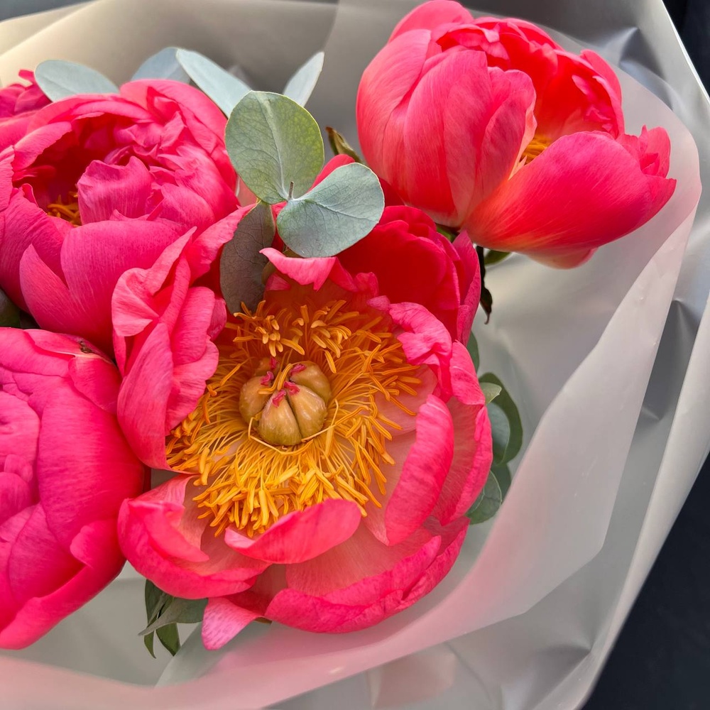 Коралловые пионы в стильной упаковке