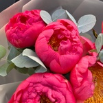 Коралловые пионы. Доставка по СПБ - Фотография 6 Коралловые пионы. Доставка по СПБ - Фотография 6