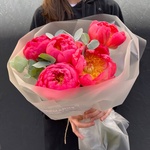 Коралловые пионы. Доставка по СПБ - Фотография 1 Коралловые пионы. Доставка по СПБ - Фотография 1