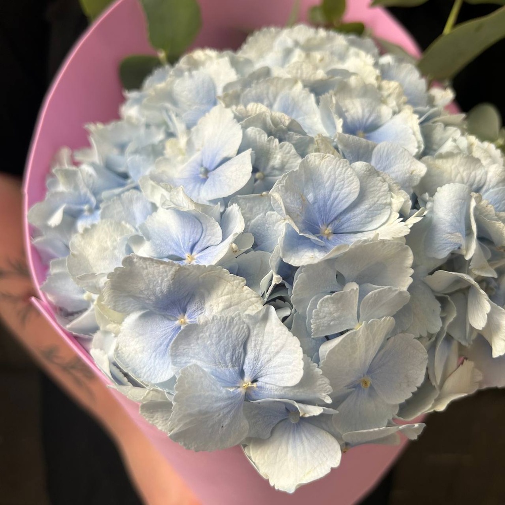 В самое сердце: голубая гортензия и эвкалипт