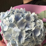 Доставка по спб - Фотография 7