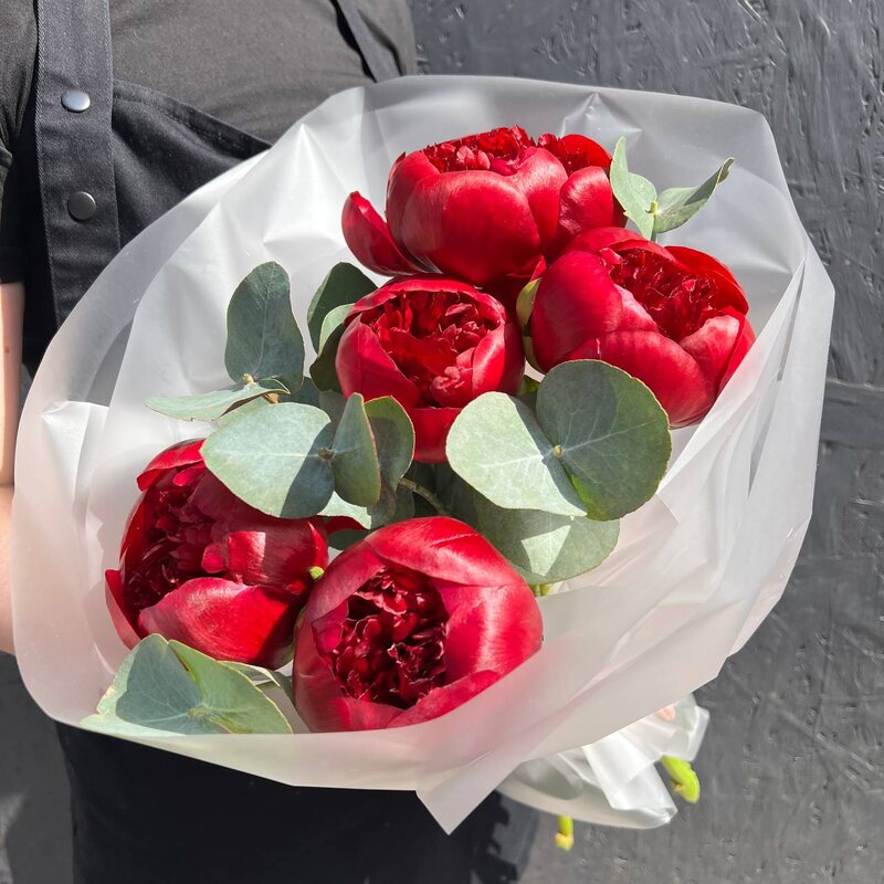Бордовые пионы в упаковке