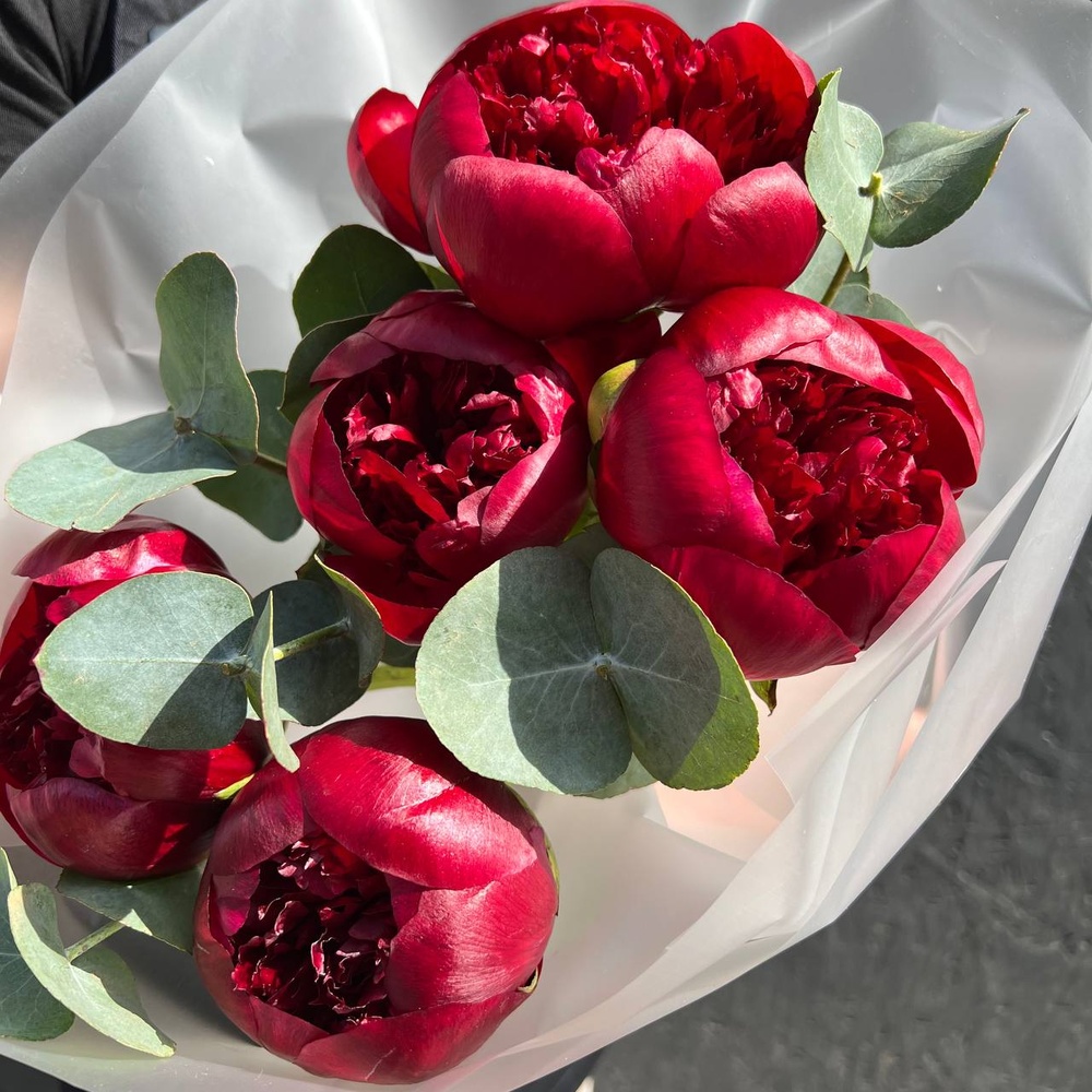 Бордовые пионы в упаковке по цене 5688 ₽ - купить в RoseMarkt с ...