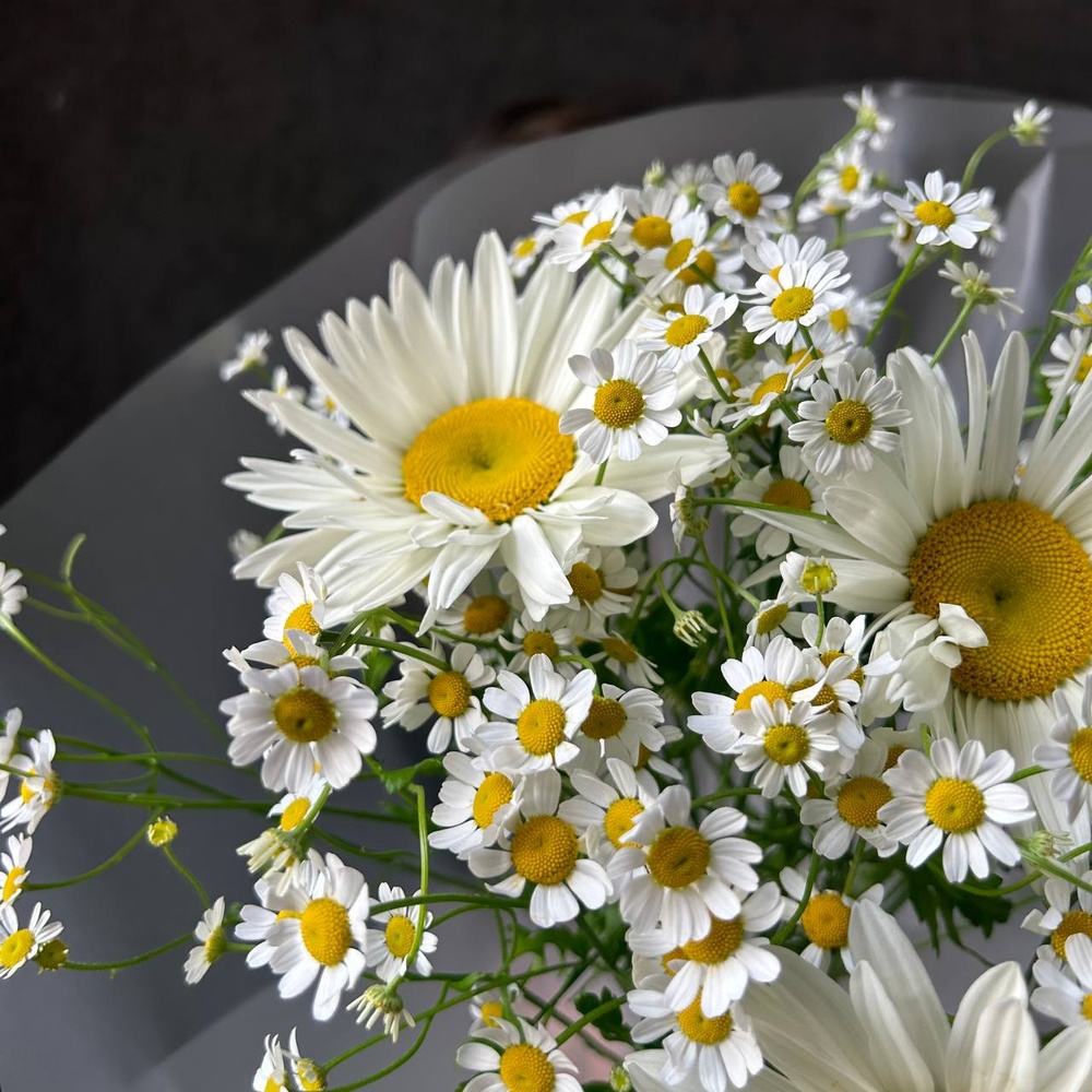 Букет «Любит-не любит: микс из ромашек»