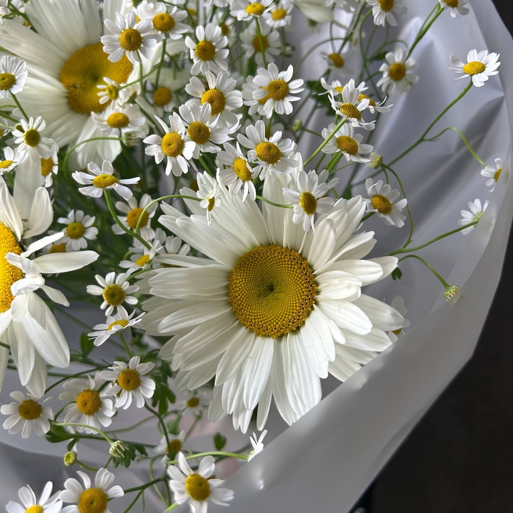 Букет «Любит-не любит: микс из ромашек»