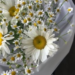 Доставка по Спб - Фотография 2