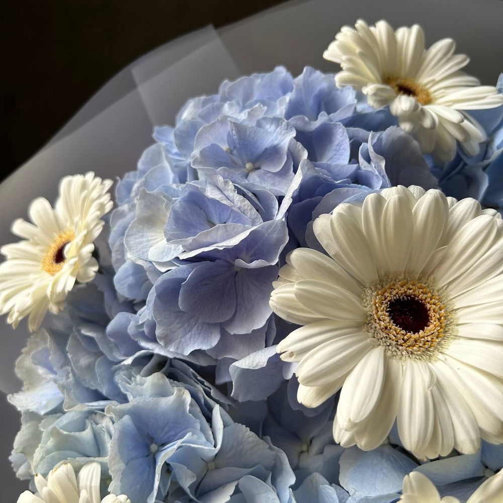 WOW-букет с голубой гортензией в стильной упаковке