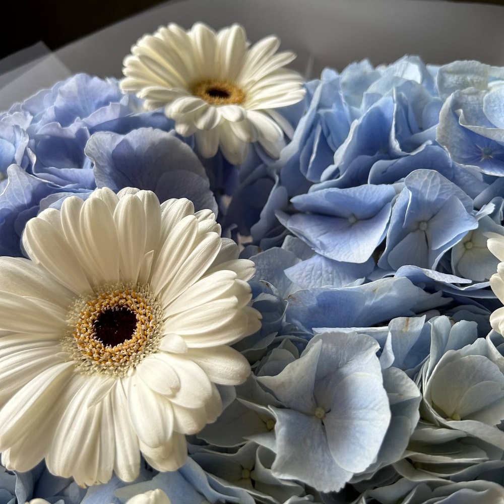 WOW-букет с голубой гортензией в стильной упаковке