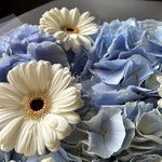 Доставка по СПБ - Фотография 6