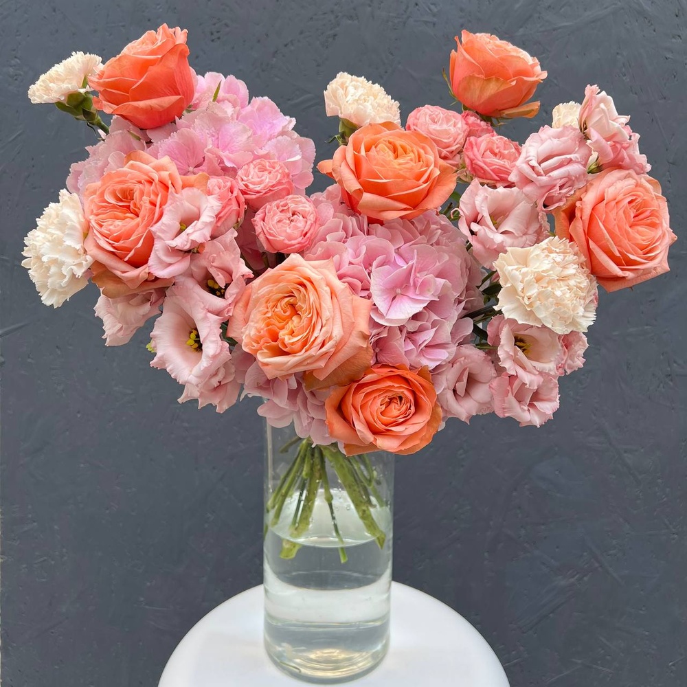 Я подарю тебе мечту!