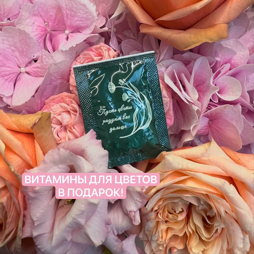 Я подарю тебе мечту!