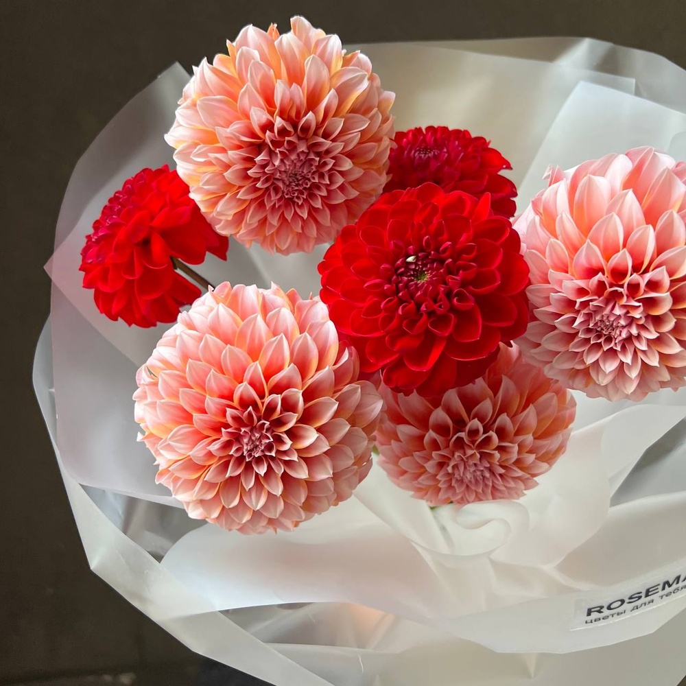 Помпоны черлидеров: микс из георгинов