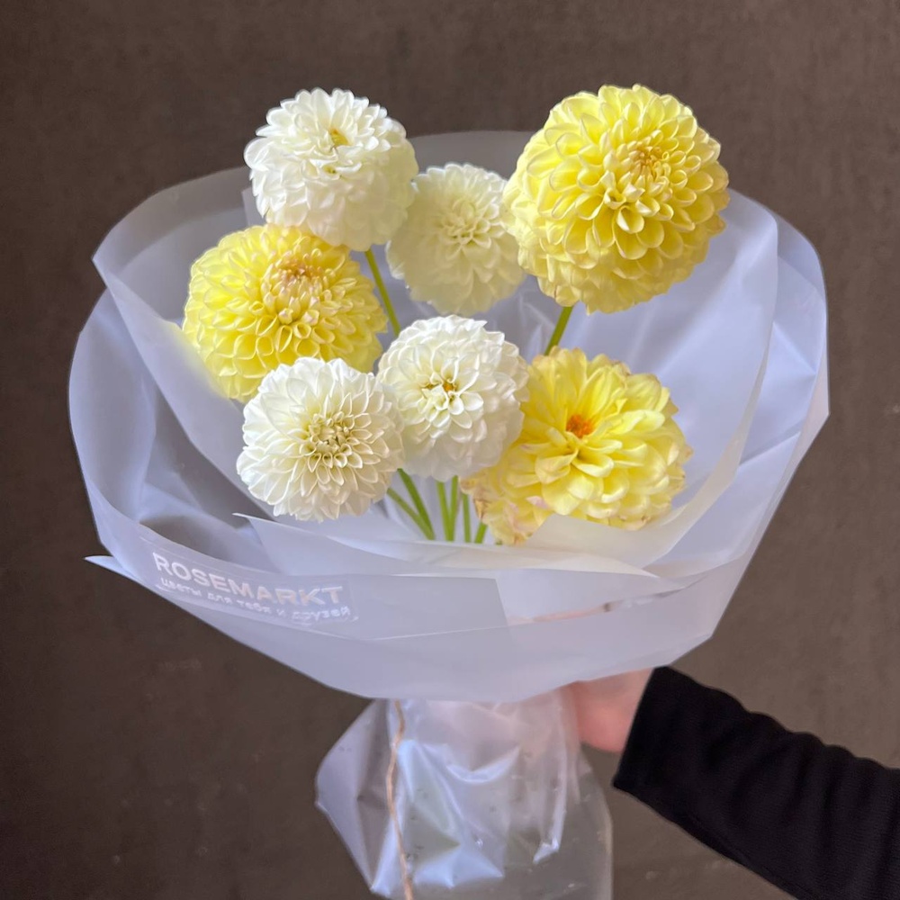 Желтые помпоны черлидеров: микс из георгинов