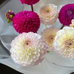 Доставка по спб - Фотография 5