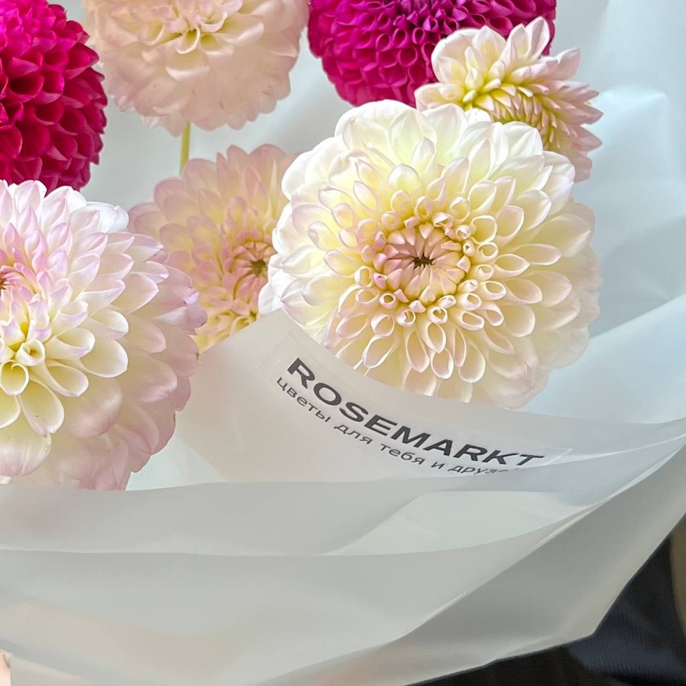 Разноцветные помпоны черлидеров: микс из георгинов