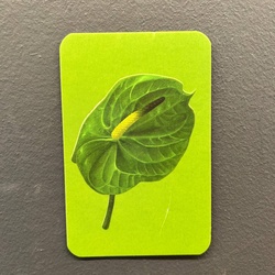 Букет «Мини-открытка 