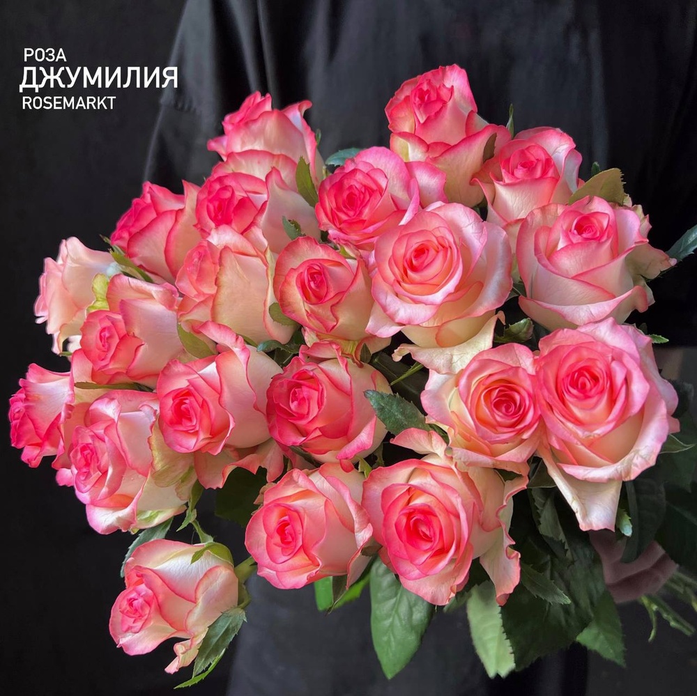 Роза Джумилия