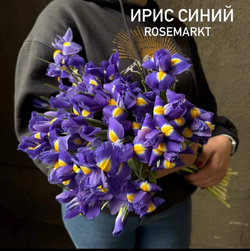 Синие ирисы