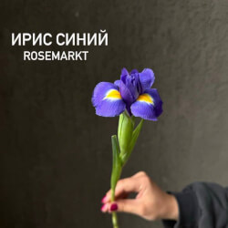 Букет «Синие ирисы» Букет «Синие ирисы»
